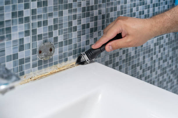 Best Black Mold Removal  in Genesee, CO
