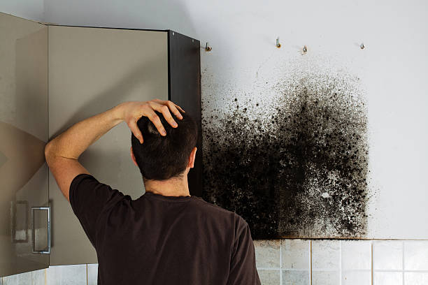 Best Office Mold Removal Services  in Genesee, CO